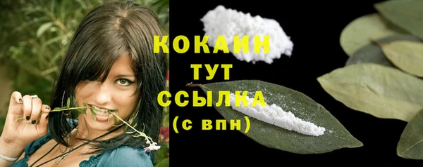 гидра Мегион