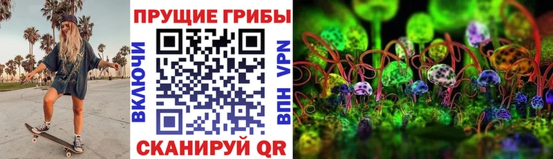 omg рабочий сайт  цена наркотик  Райчихинск  Псилоцибиновые грибы Cubensis 